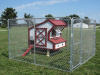 Shown in a 10x10 Dog Kennel